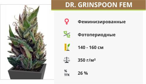 Сорта конопли Dr. Greenspoon Dr. Greenspoon fem от Barney`s Farm