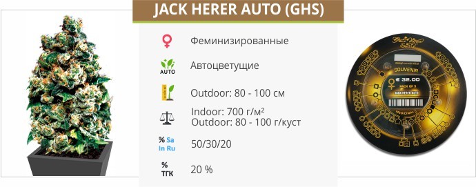 Jack Herer