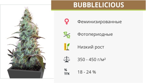 Bubblelicious Bubblelicious