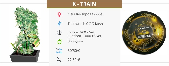 K – Train K – Train