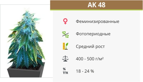 АК-48 АК-48