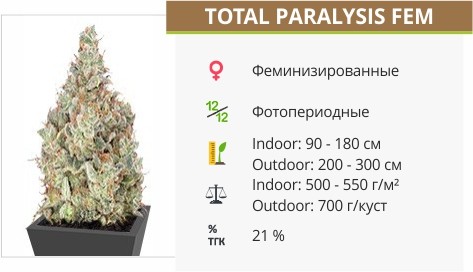 Сорт конопли Total Paralysis Total Paralysis fem от Heavyweight Seeds