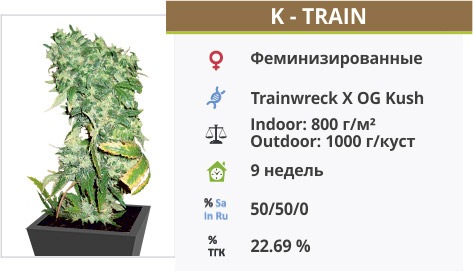 K – Train K – Train
