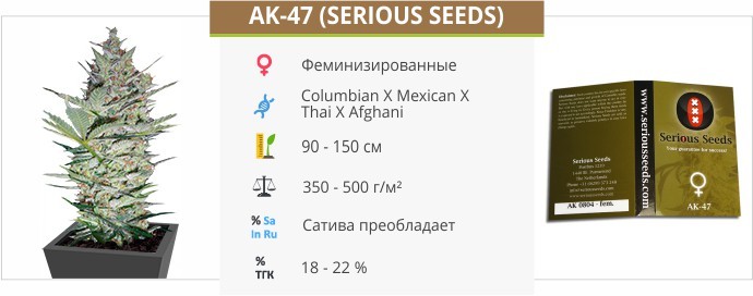 Ak 47 fem от Serious Seeds