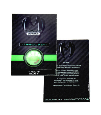 Monster Moby (Monster Genetics) семена конопли