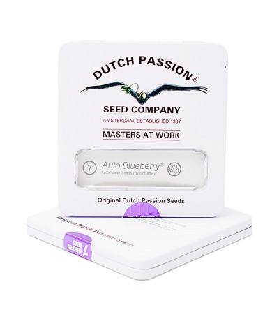 Auto Blueberry fem (Dutch Passion) семена конопли