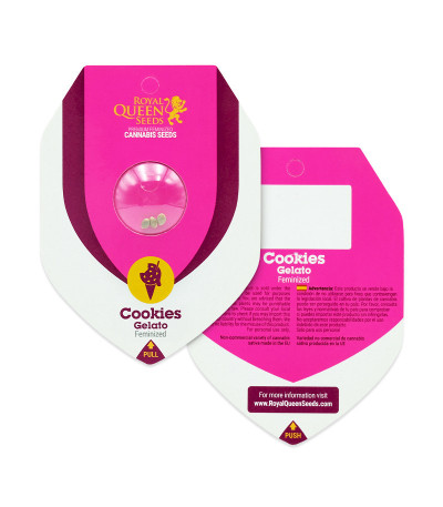Cookies Gelato fem (Royal Queen Seeds) семена конопли