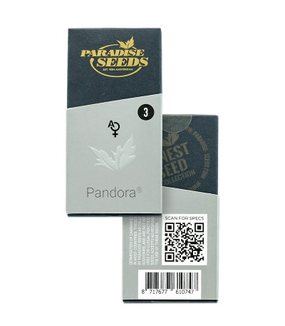 Pandora Auto fem (Paradise Seeds) семена конопли
