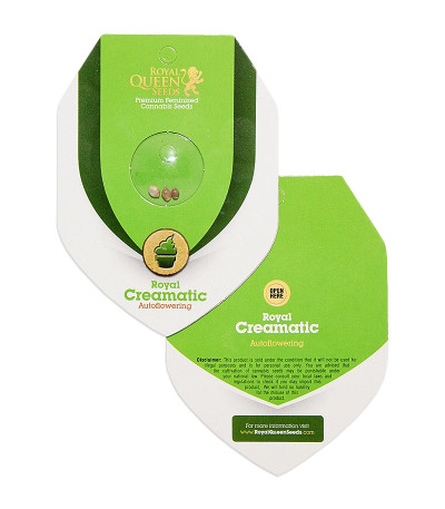 Royal Creamatic Auto fem (Royal Queen Seeds) семена конопли