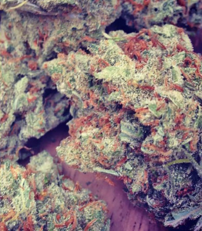 Amnesia Ganja Haze fem (Sumo Seeds) семена конопли