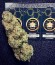 Sumo's OG Kush fem (Sumo Seeds) семена конопли