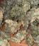 Original Auto Skunk fem (FastBuds) семена конопли