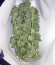 Buddha Deimos auto fem семена конопли