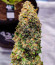Gorilla Zkittlez Auto fem (FastBuds) семена конопли
