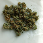 original-auto-og-kush-fem-fastbuds.jpg