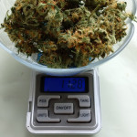 original-auto-og-kush-fem-fastbuds.jpg