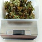 purple-juice-auto-fem-herbies-seeds.jpg