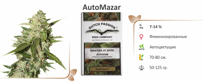 AutoMazar