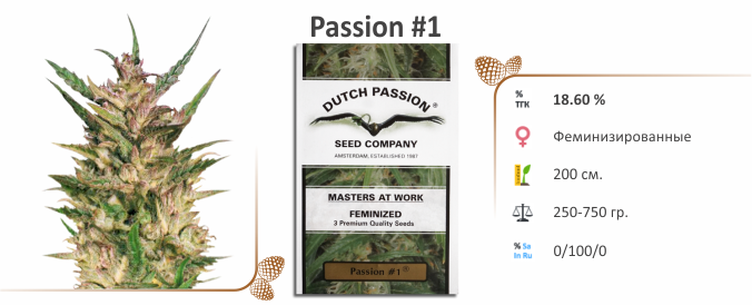 Passion #1
