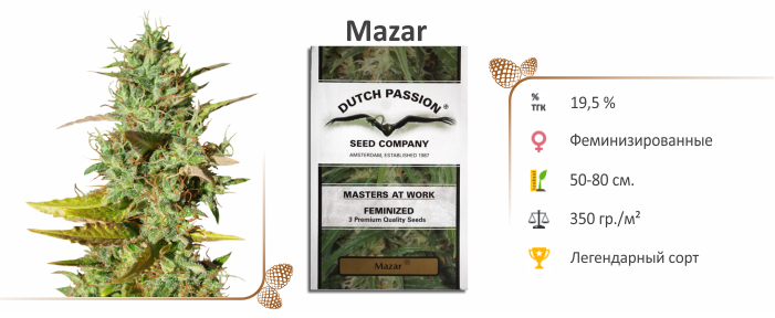 Mazar 