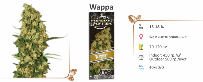 Wappa