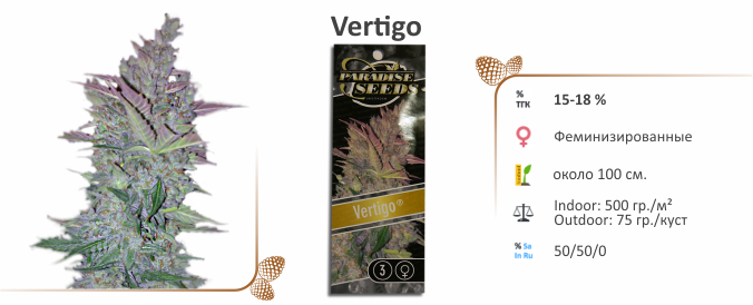 Vertigo