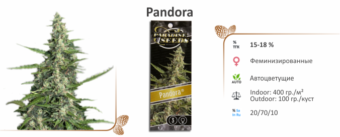 Pandora