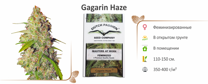 Семена конопли Gagarin Haze Gagarin Haze