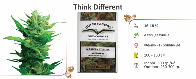 Think Different